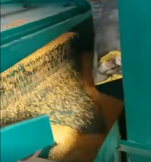 糧食精選機(jī)工作視頻